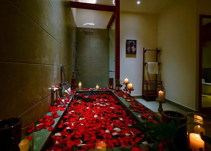 Nexus House Lang Bao Chi